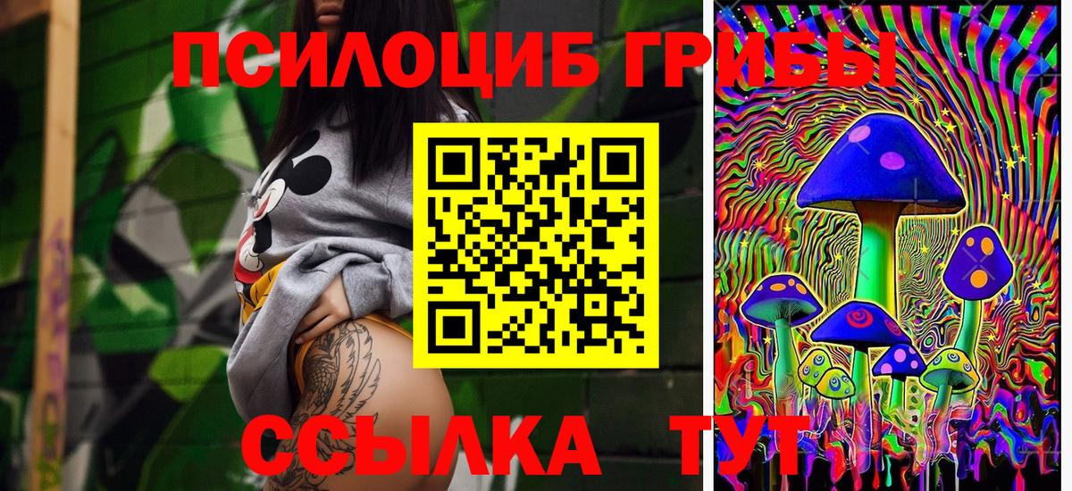 Жуковский  Галлюциногенные грибы мухоморы  Вход с VPN  где найти наркотики  Галлюциногенные грибы Psilocybine cubensis 